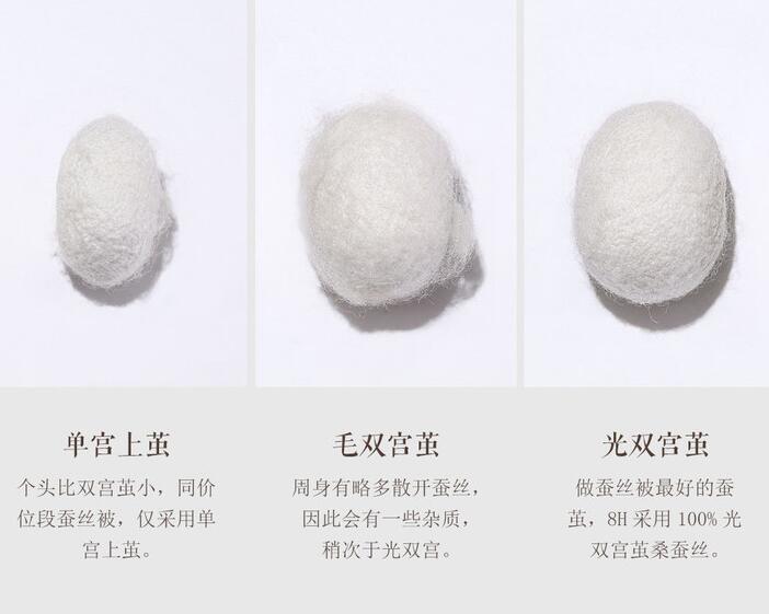 雙宮繭與單宮繭的區別