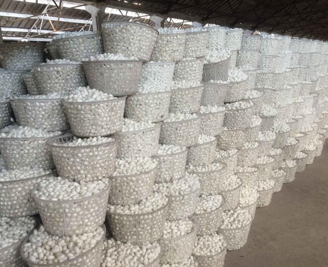 商務部關于繭絲綢行業&ldquo;十四五&rdquo;發展的指導意見