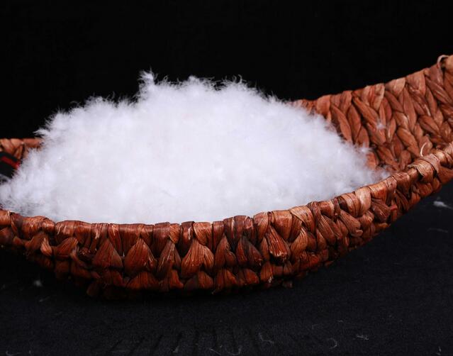 鵝絨和鴨絨羽絨服哪個(gè)更好？